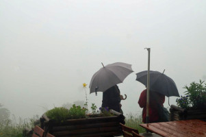 Der überwältigende Blick von der Schliersbergalm an einem feuchten Sommertag.