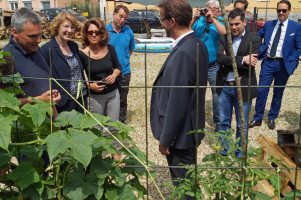 Im Nachbarschaftsgarten in der Neuhoferstraße pflanzen Anwohner Bohnen, Tomaten und anderes Gemüse an.